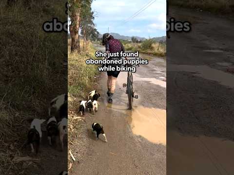 Friends On A Bike Ride Find A Litter Of Abandoned Puppies | The Dodo