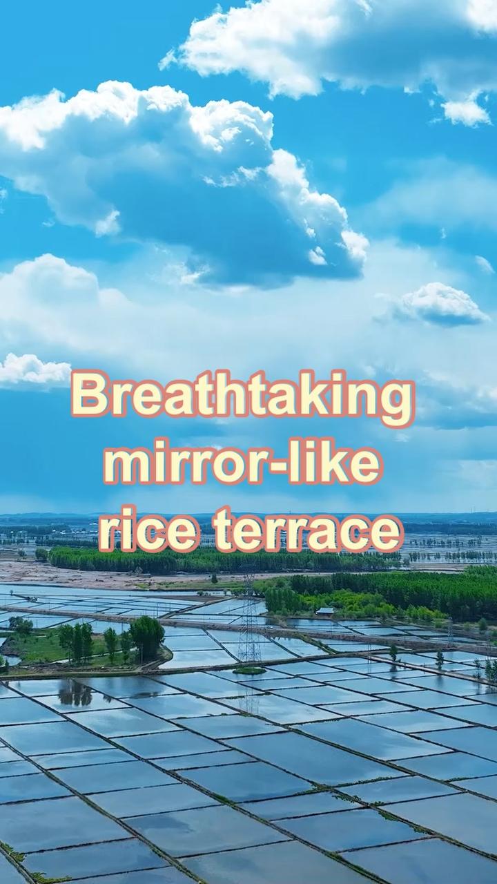 Water-filled rice fields in N China turn into mirrors