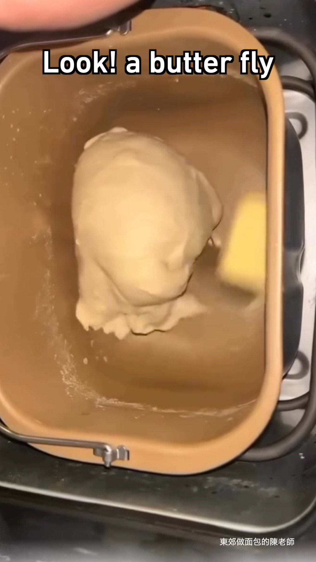 butter fly bread